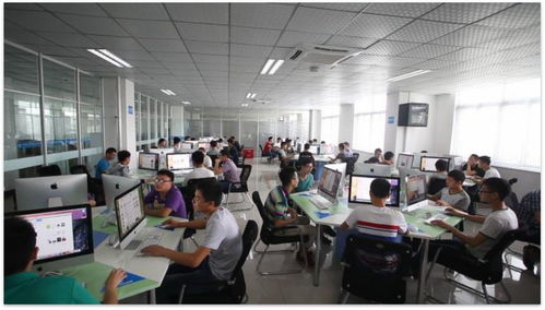 計(jì)算機(jī)系移動(dòng)應(yīng)用開發(fā)專業(yè) 技術(shù)開發(fā)的核心路徑與未來趨勢