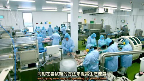 香腸工廠新技術(shù)過渡 機(jī)遇與挑戰(zhàn)并存